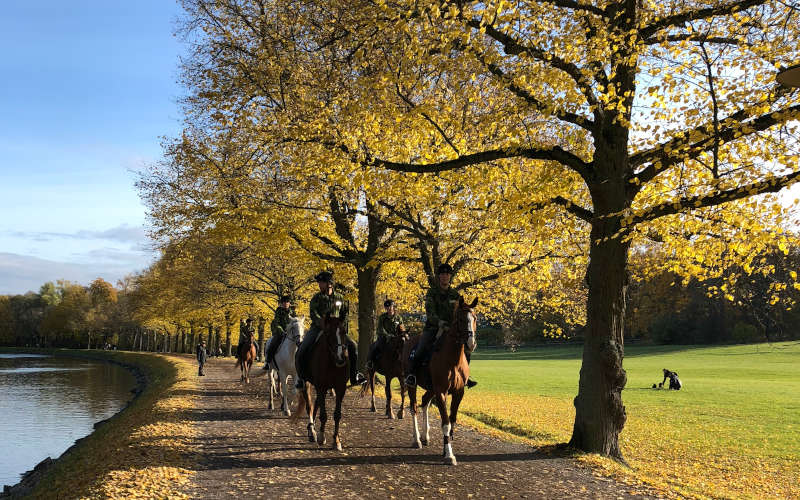 Autunno a Stoccolma