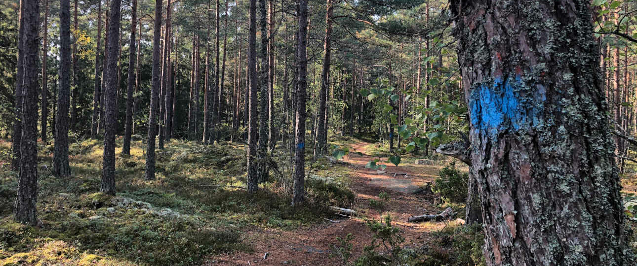 trekking a Stoccolma