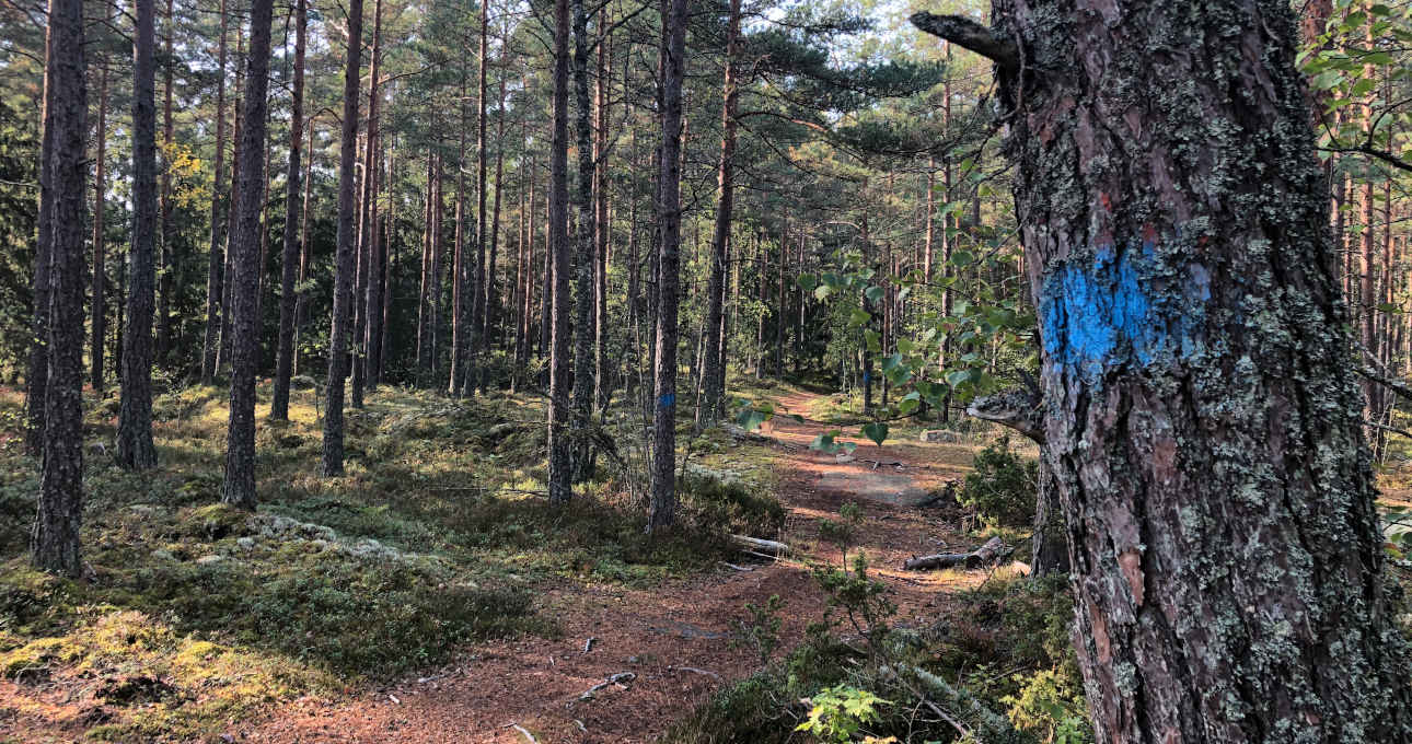 trekking a Stoccolma