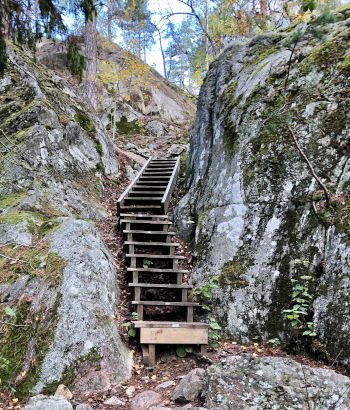 Scala nei percorsi trekking a Stoccolma